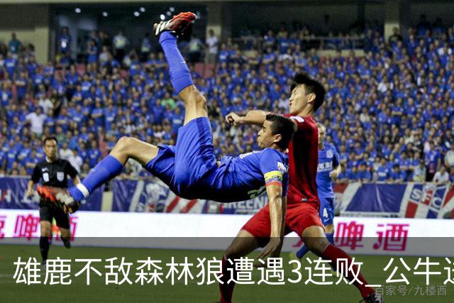 雄鹿不敌森林狼遭遇3连败 公牛送灰熊7连败